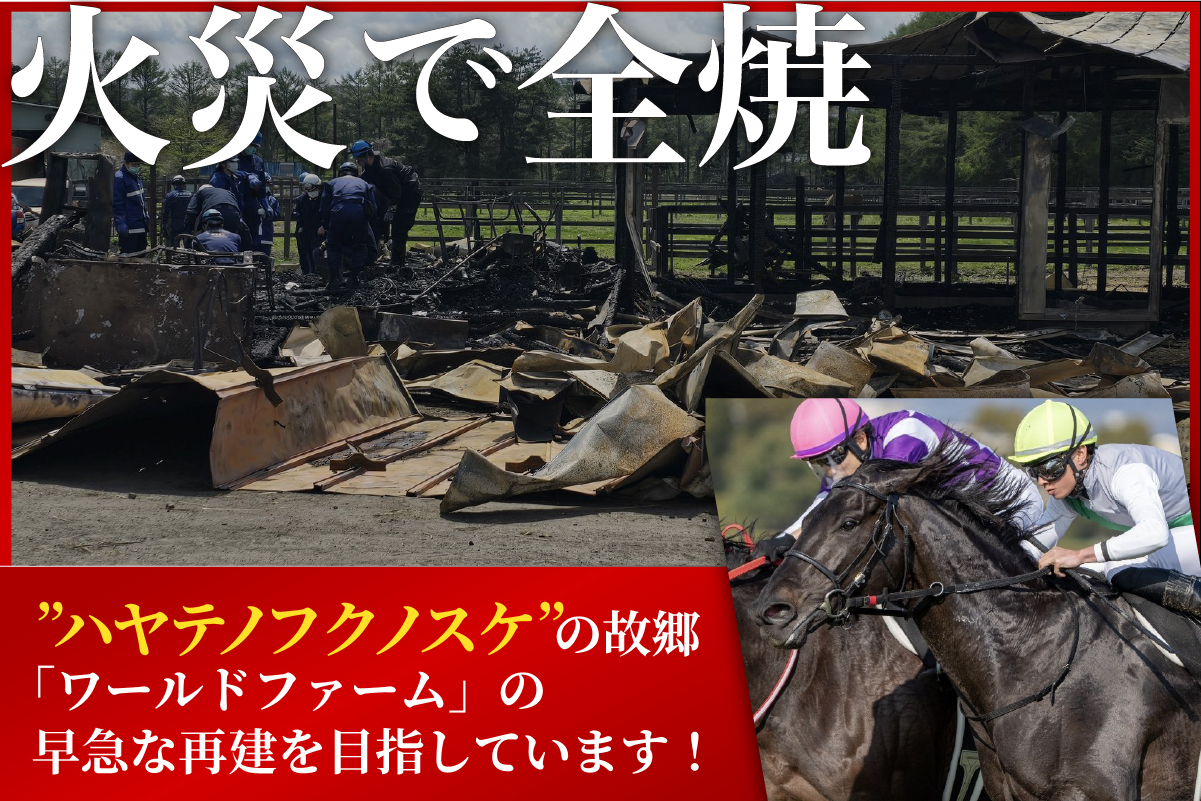 沖縄つながり応援