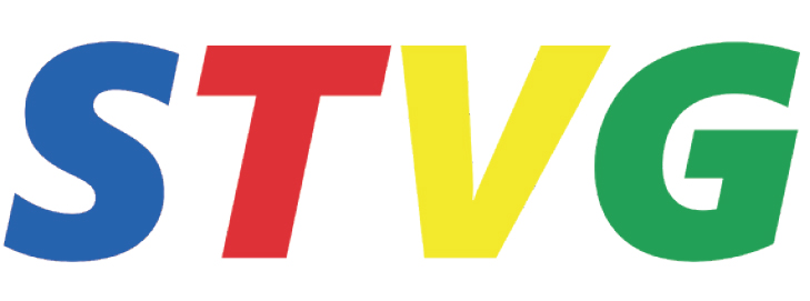 株式会社STVG JAPAN
